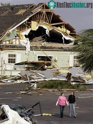 Bão lớn tàn phá Florida ảnh 0