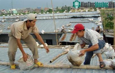 Bão Cimaron hướng vào Đà Nẵng - Quảng Ngãi ảnh 1
