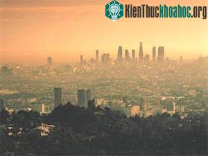 Ozone vừa hại phổi vừa làm suy yếu miễn dịch ảnh 1