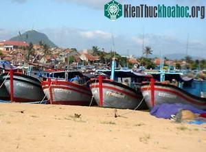 Tàu thuyền vừa về bờ tránh bão ở Phú Yên.