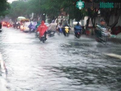 TP.HCM: Mưa lốc, đổ cây, ngập đường, cháy thiết bị điện ảnh 1