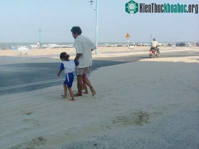 "Bão cát" hoành hành Vũng Tàu ảnh 1