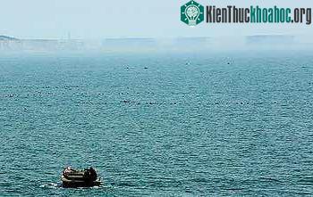 Thành phố ảo “hiện hình” trên biển ảnh 2