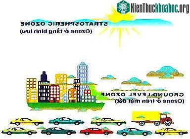 Ozone vừa hại phổi vừa làm suy yếu miễn dịch ảnh 2