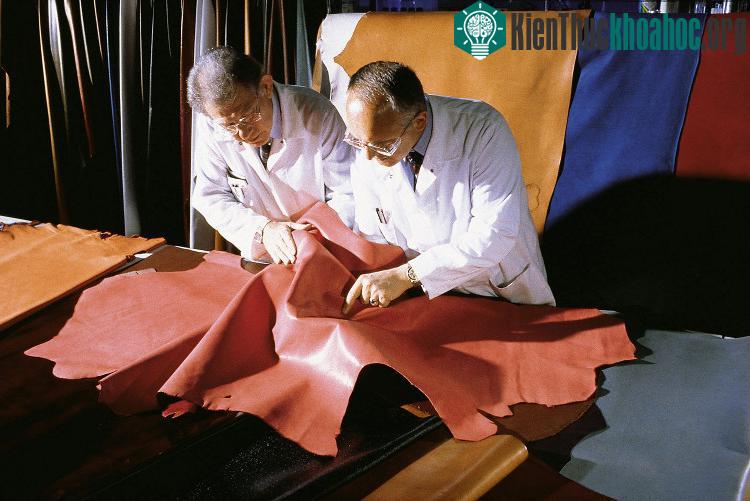 Công nghệ này giúp tiết kiệm nước và bảo vệ môi trường.