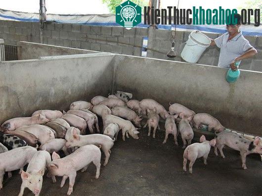 Ảnh minh họa: (Vũ Sinh/TTXVN)