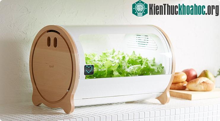 Giá nhà đất ở các thành phố của Nhật rất đắt đỏ nên không nhiều gia đình có sân vườn. Tuy nhiên, một công ty Nhật đã thiết kế sản phẩm giúp những người yêu thích rau xanh có được một khu vườn nhỏ t...