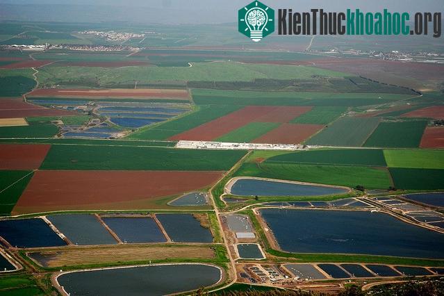 Cánh đồng tại thung lũng Jezreel-Israel.