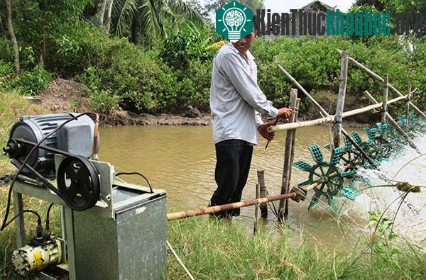 Ông Nam sử dụng thiết bị tiết kiệm điện trong nuôi tôm - (Ảnh: Sơn Bình)