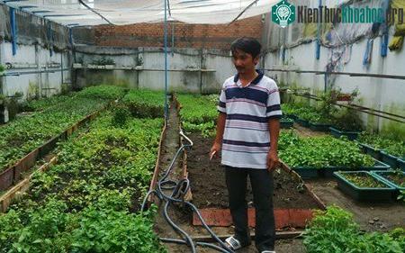 Hệ thống tưới rau qua điện thoại di động độc nhất ở Việt Nam