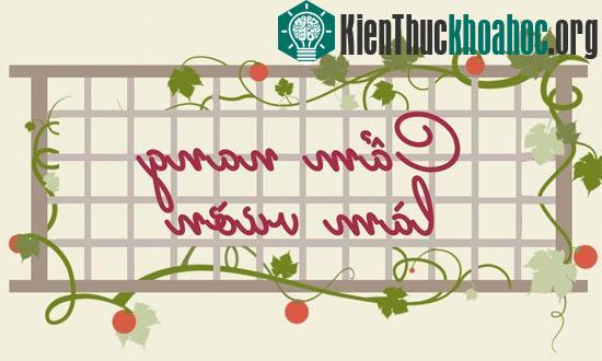 Cẩm nang làm vườn - Hướng dẫn tự trồng một khu vườn cá nhân