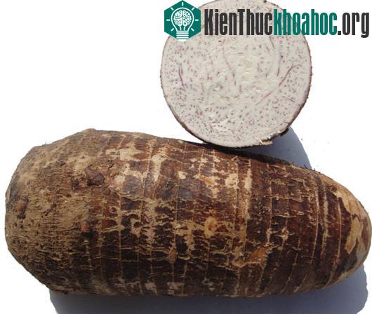 Ảnh minh họa:&nbsp;longproduce.com