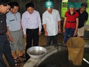 Trang trại tư nhân sản xuất thành công cá nheo giống