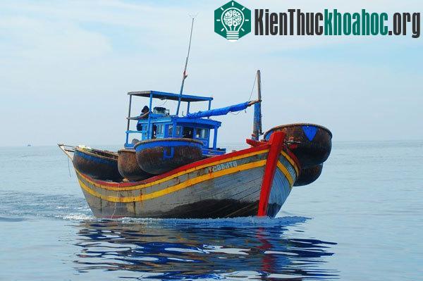 Giải pháp xử lý nước đáy tàu nhiễm dầu hiệu quả