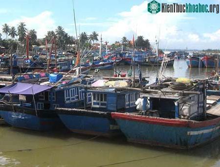 Tàu đánh bắt cá xa bờ (Ảnh: Nguyễn Hữu)