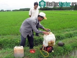 Nông dân pha xịt nấm xanh.