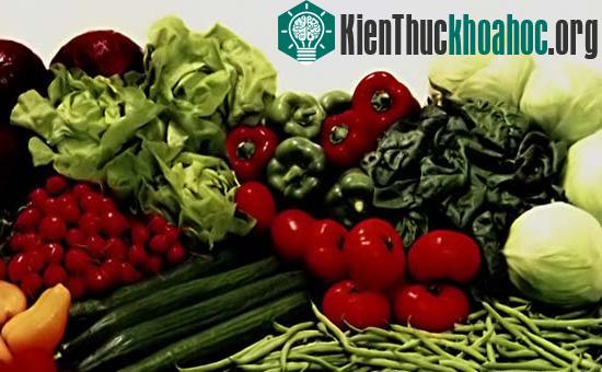 Phát triển ứng dụng bức xạ thành ngành công nghiệp công nghệ cao ảnh 0