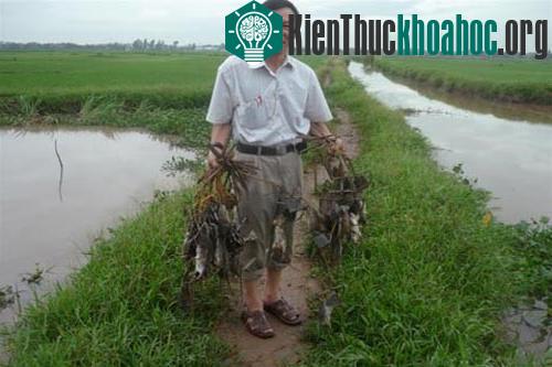 Ông Thiều bên chiến lợi phẩm (Ảnh Nguyễn Minh)