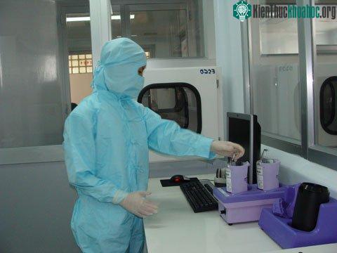 Ứng dụng tế bào gốc vào lĩnh vực thẩm mỹ ảnh 0