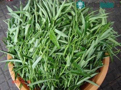 Bảo quản rau muống tươi cả tháng ảnh 0