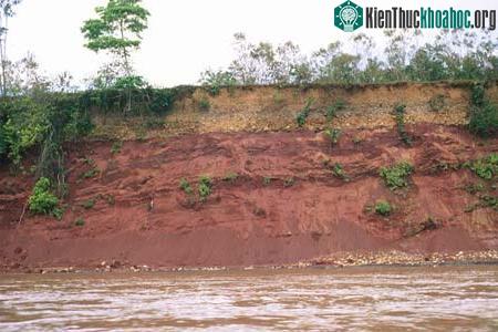 Tại sao đất có màu nâu? ảnh 1