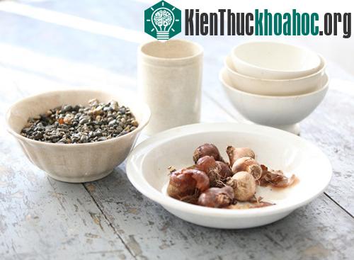 Chuẩn bị chậu hoa.