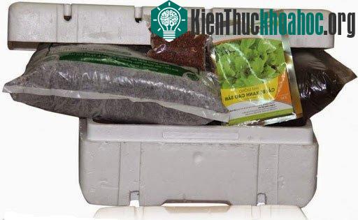 Cần chuẩn bị đầy đủ dụng cụ cho kỹ thuật trồng cây, rau sạch tại nhà.