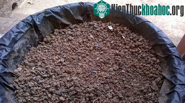 Bón lót và chọn đất là bước quan trọng trong kỹ thuật trồng cây