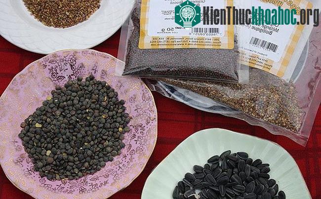 Hạt giống rau mầm