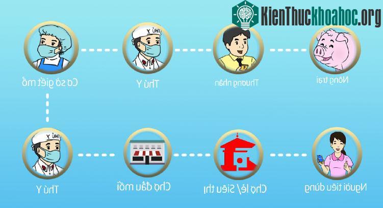 Người tiêu dùng có thể truy xuất nguồn gốc heo từ lúc xuất chuồng cho đến nơi bán lẻ.