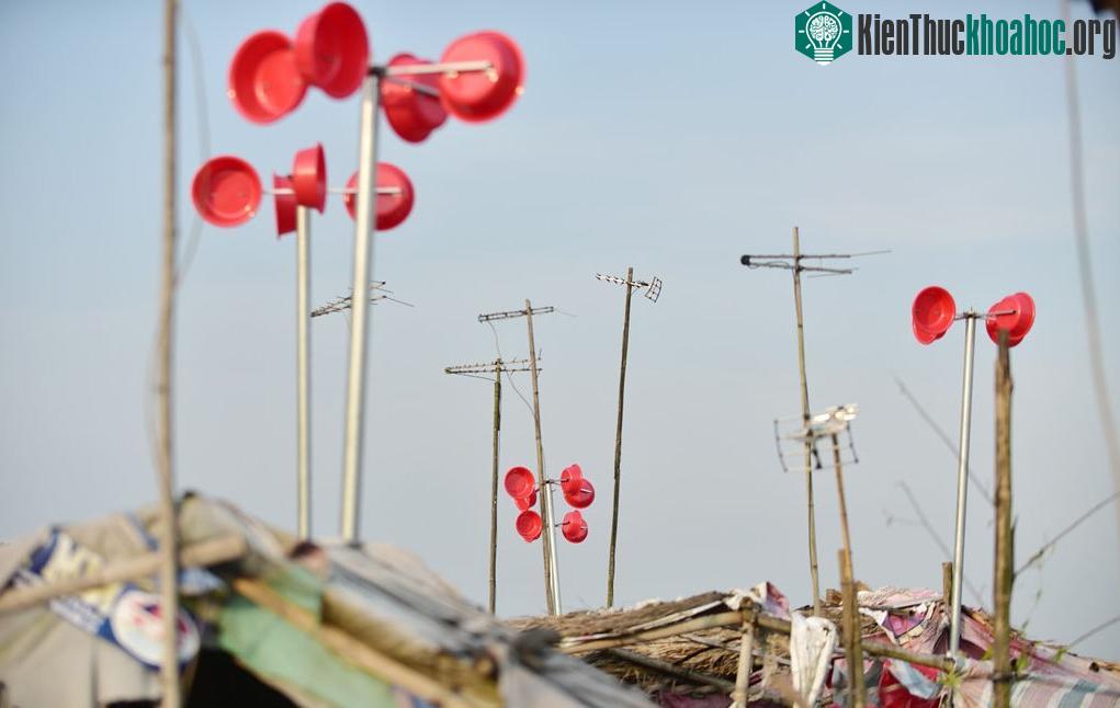 Những năm gần đây, điện lưới đã được kéo ra đến từng thuyền với giá 4.000-5.000 đồng/kWh. Trong điều kiện thu nhập eo hẹp, hàng tháng nhiều gia đình phải trả 200.000 - 300.000 đồng tiền điện, một k...