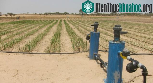 Hệ thống tưới tiêu hiện đại ở Israel.