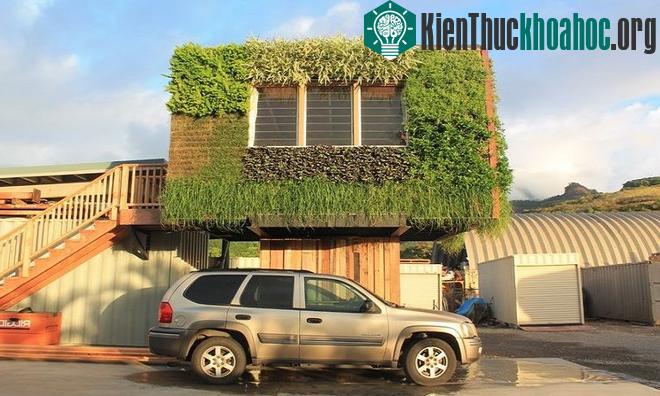 Nhà cây một cột sử dụng pin Mặt Trời