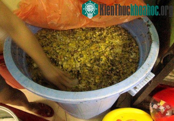 Cả phố dùng nước rửa bát chế từ... rác thải