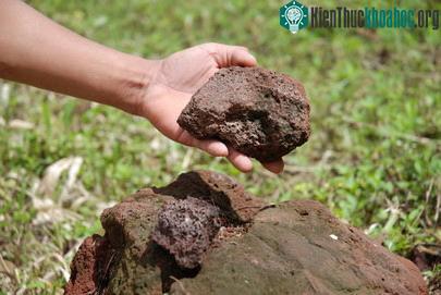 Trồng rau sạch trên bọt núi lửa ảnh 1