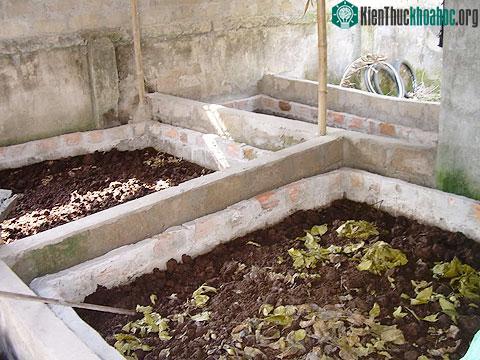 Nước mắm giàu đạm nhờ… trùn quế ảnh 1