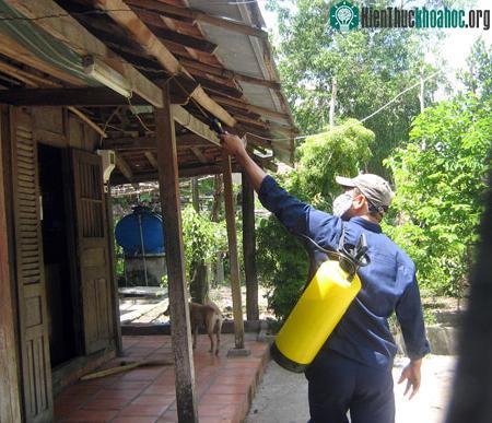 Thuốc trừ bọ đậu đen từ hạt cây có dầu ảnh 1