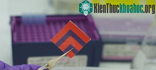Những sáng chế hữu dụng cho người nghèo