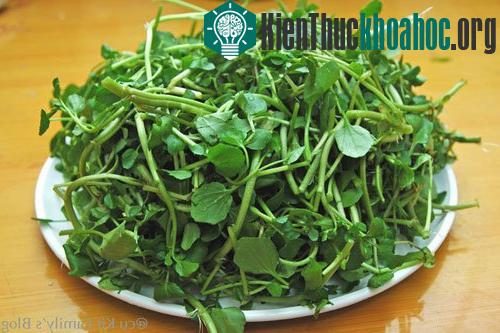 Rau cải xoong có thể được ăn sống hoặc chín
