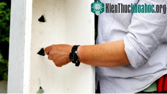 Với chậu xốp, cần khoét lỗ thoát nước, thường thì từ 6 đến 8 lỗ 1 chậu.