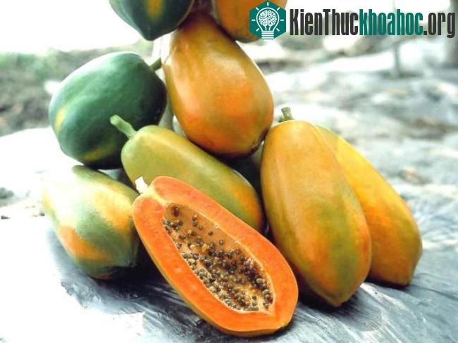 Quả đu đủ có nhiều tác dụng làm đẹp và cải thiện sức khỏe