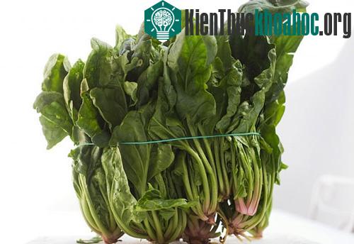Thực hiện đúng kỹ thuật trồng cây rau chân vịt đúng cách sẽ thu hoạch được nhưng mớ rau tươi ngon, tốt cho sức khỏe