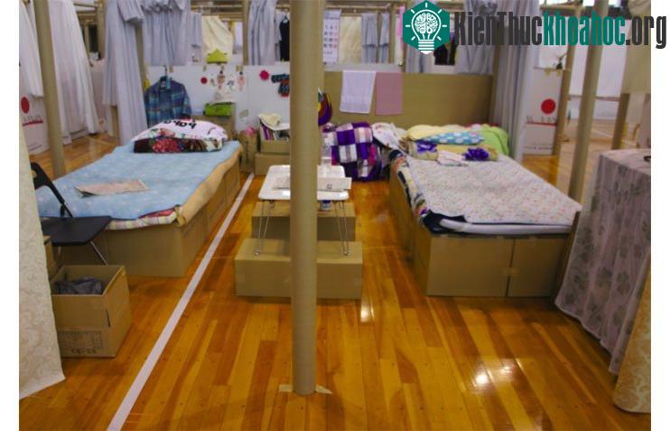 Chỉ cần thêm chiếc nệm ở trên, bạn đã có ngay chỗ nghỉ ngơi khá thoải mái.