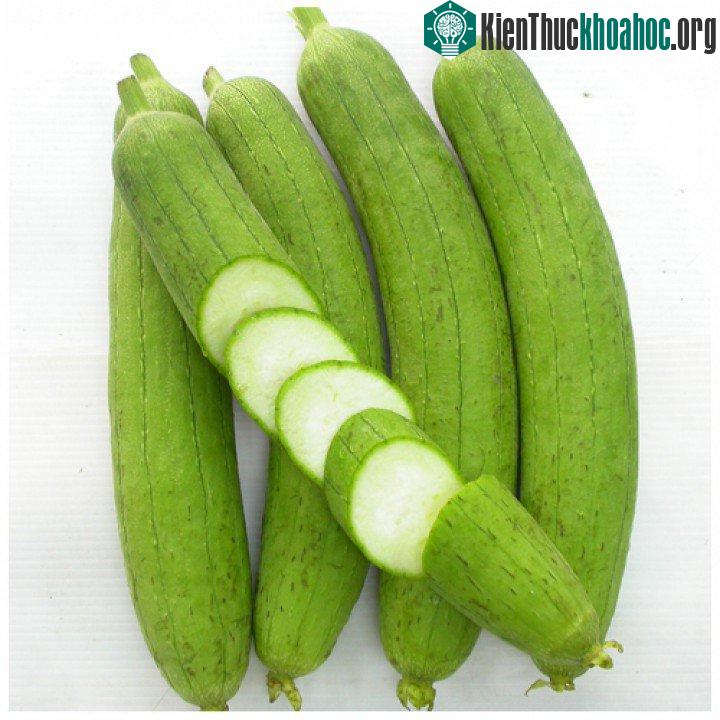Người dân có thể trồng cây mướp cho gia đình bằng cách áp dụng đúng kỹ thuật trồng cây cơ bản.