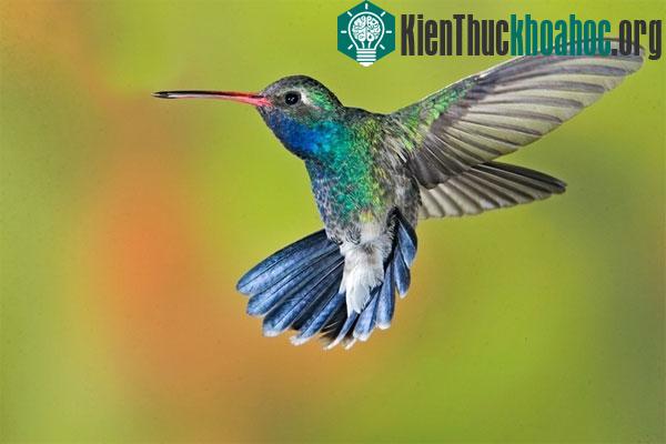 Bay và những bí ẩn còn chưa biết