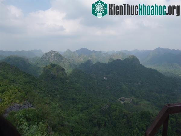 VQG Cát Bà nhìn từ một chòi gác rừng