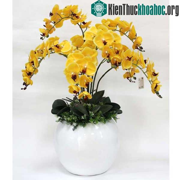 Người chơi hoa có thể điều chỉnh thời gian ra hoa theo ý muốn