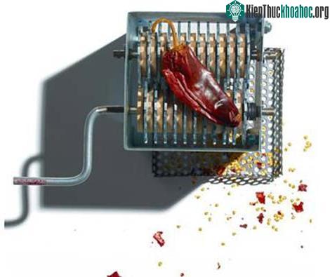 Những sáng chế hữu dụng cho người nghèo ảnh 3