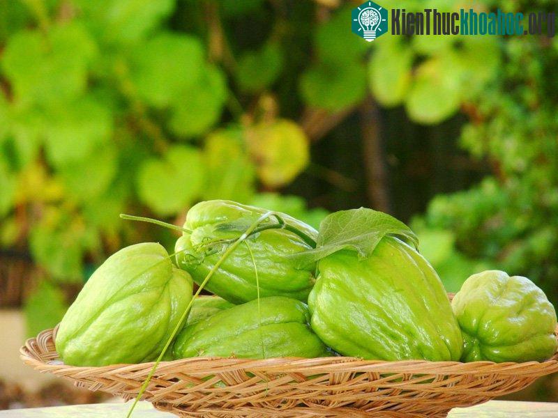Su su có thể chế biến thành nhiều món ăn ngon, bổ dưỡng
