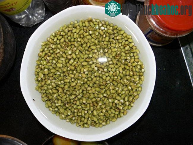 Ngâm hạt rau mầm